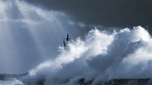 Noul şef al agenţiei americane pentru dezastre spune că nu ştia că SUA are un sezon al uraganelor / Personalul FEMA a rămas perplex (Reuters)