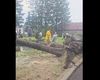Trei copaci s-au prăbușit din cauza vremii peste un stâlp de electricitate în curtea unui spital din Vrancea