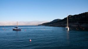 Alertă și plaje închise după ce mai mulți rechini s-au apropiat de destinații de pe Costa Brava, Spania
