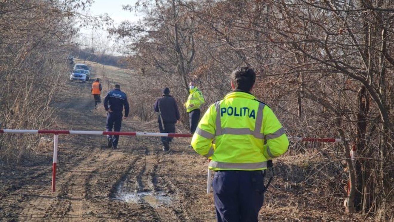 Zeci de păsări au fost găsite spânzurate în copaci, într-o pădure, în județul Botoșani / Poliția investighează cazul