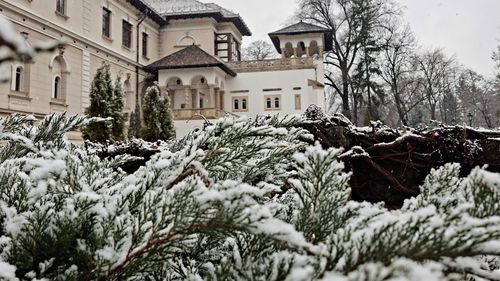 Muzeul Cotroceni va putea fi vizitat gratuit în 15 ianuarie, de Ziua Culturii Naționale