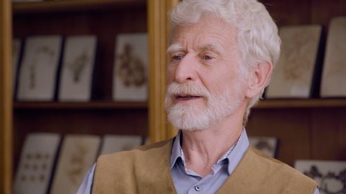 VIDEO Profesorul de fluturi