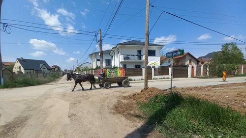 FOTO  Bucureştiul şi localităţile din jur au sute de străzi neasfaltate care sunt pline de gropi şi bălţi