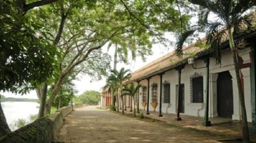 OMS: Situaţia epidemiei de mpox din Africa rămâne deosebit de îngrijorătoare