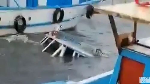 VIDEO O furtună puternică a scufundat în Turcia zeci de bărci și iahturi, a dezrădăcinat copaci și a provocat haos