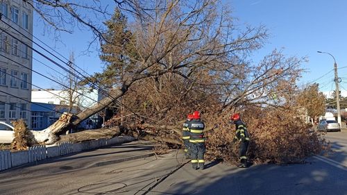 Asiguratorii au deschis peste 1.200 de dosare de daună ca urmare a pagubelor produse de vijeliile de săptămâna trecută
