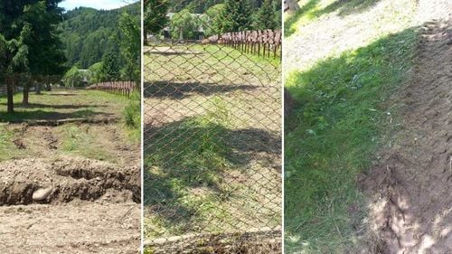 Dosar penal pentru distrugere și profanare de morminte, deschis de Parchetul de pe lângă Judecătoria Miercurea-Ciuc în cazul crucilor de lemn plasate de organizația Calea Neamului la cimitirul Valea Uzului