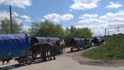 13 persoane în cinci căruțe au parcus 100 de km. Oamenii s-au justificat polițiștilor că se duc să caute de muncă în Sebeș