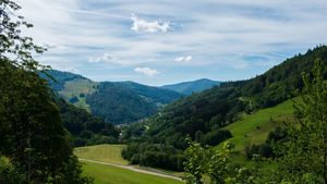 Cea mai „instagramabilă” pădure din Europa este Pădurea Neagră din Germania, cu 2.400.000 de hashtag-uri pe Instagram - studiu