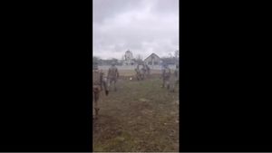 VIDEO Soldați ucraineni joacă fotbal pe câmpul de luptă