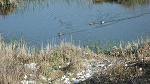 Satu Mare: Zona degradată lacul Cubic va fi transformată în cel mai mare parc din oraş