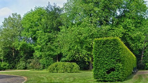 Guvernul promovează o hotărâre care face ca SRI să cedeze un teren de milioane de euro din București ca să se facă un parc pe el