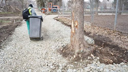 Garda de Mediu a amendat cu 15.000 de lei o firmă care reabilitează un parc din Constanța: "S-a constatat că mai mulți arbori erau vătămați"