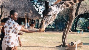 Kenya își numără animalele în cel mai amplu recensământ din toate timpurile/ Principalele ținte ale numărătorii sunt girafele, zebrele și pangolinii