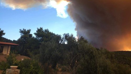 Peste 400 de pompieri, mobilizaţi pentru stingerea incendiului de pe insula grecească Evia/ Pagube inestimabile într-o rezervație naturală, sute de hectare distruse de flăcări