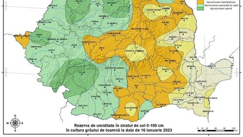 Specialiştii anunţă secetă pedologică puternică şi chiar extremă în culturile de grâu din mai multe zone ale ţării