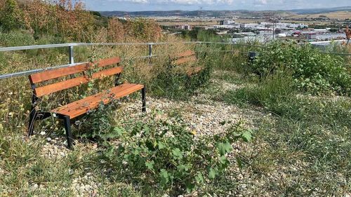 Parcul buruienilor din Cluj, prilej de glume în municipiu: „A furat, dar s-a și făcut că face ceva!”/”Ai de capul meu!”/”Luați-vă maceta să vă faceți drum printre buruieni” / Parcul a fost amenajat cu 5 milioane de euro de Primăria Cluj / Reacția administrației