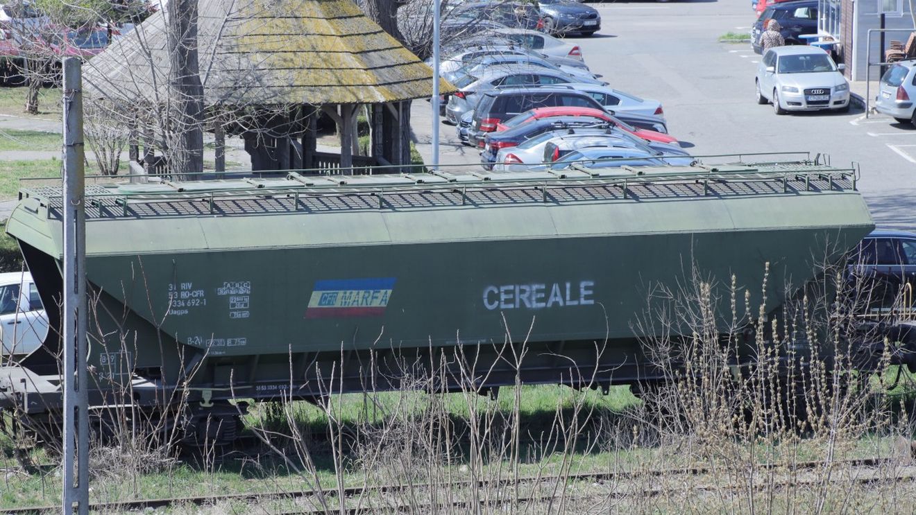 INS: Exporturile de cereale și preparate pe baze de cereale s-au ridicat la 3,78 miliarde euro în primele 9 luni din 2022