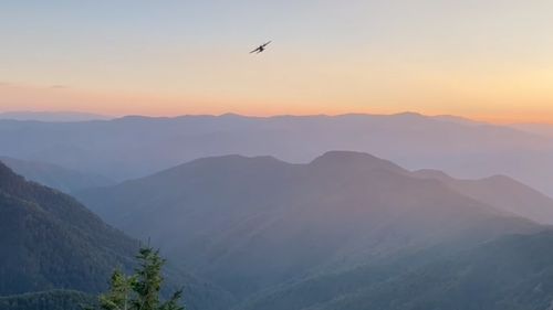 Incendiu în zona golului alpin, în județul Vâlcea / Arde vegetația pe o suprafață de aproximativ 3 ha / S-a cerut sprijin aerian pentru stingerea incendiului