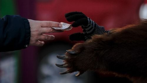 Cu cât au crescut subvențiile de la buget pentru partidele politice/ PSD a primit 96,8 milioane lei de la bugetul de stat în 2018/ PNL 44, 4 milioane de lei/ USR 13 milioane