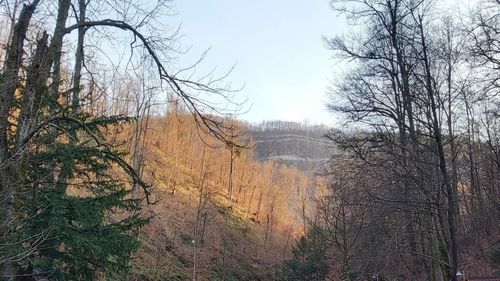 Arad: Două treimi din locurile de cazare de la Moneasa, închise iarna din cauza facturilor prea mari