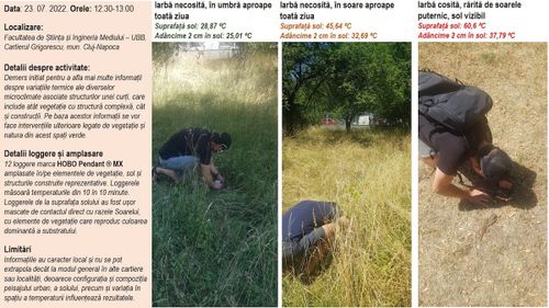 Studiul unui profesor de la Babeș Bolyai: Iarbă necosită, la umbră – 28,87 grade / Iarbă cosită, expusă la soare: 60,6 grade / ”A avea umbră de la un arbore, în apartament de bloc, înseamnă răcoare care se simte pe bune!”