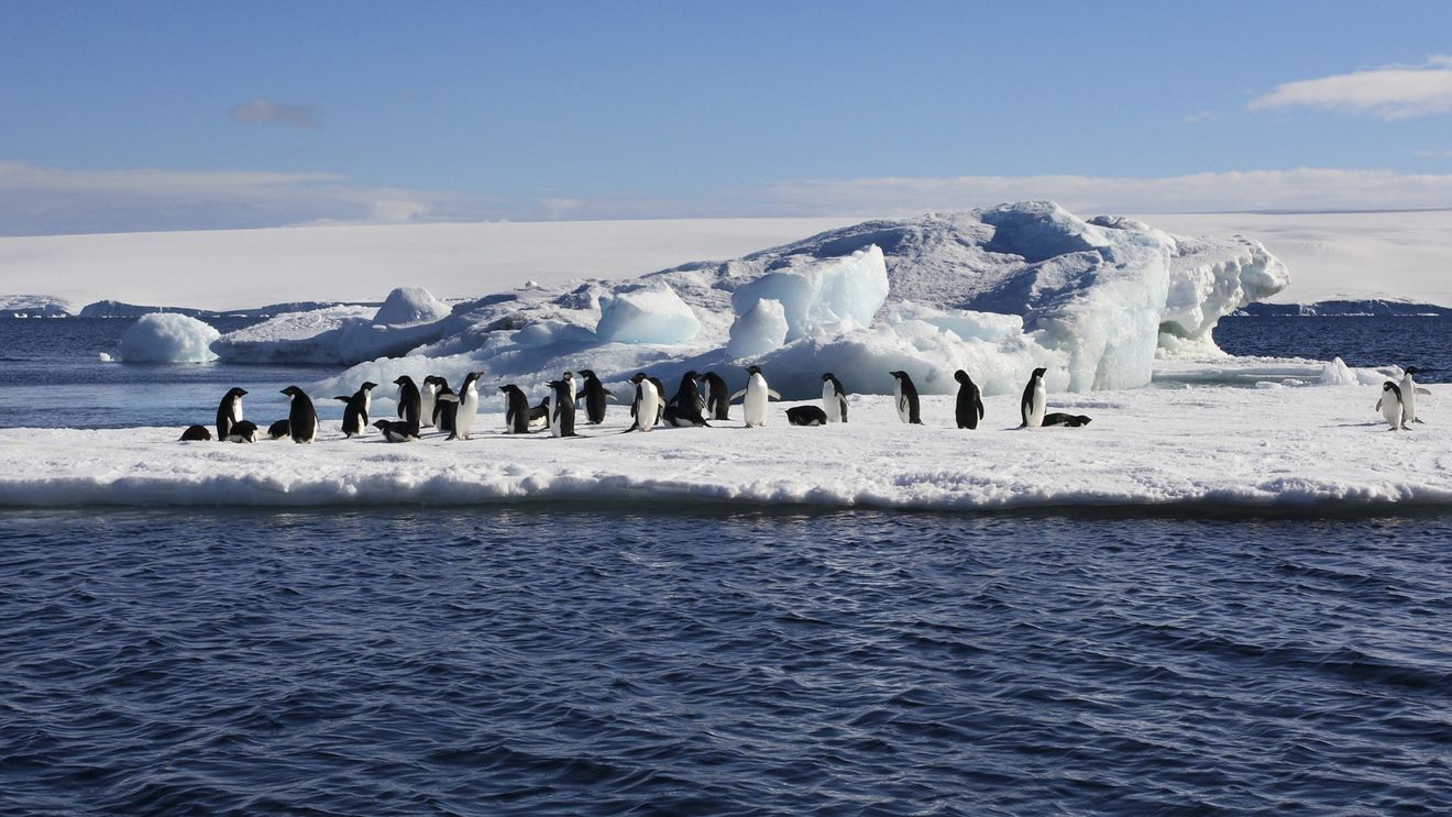 O nouă hartă științifică dezvăluie peisajul ascuns de sub gheața Antarcticii / Indicii-cheie despre creșterea nivelului mării
