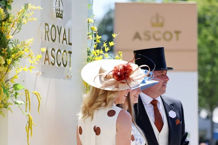 royal ascot palarii