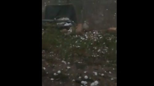 VIDEO Grindină cât oul de porumbel în Argeș