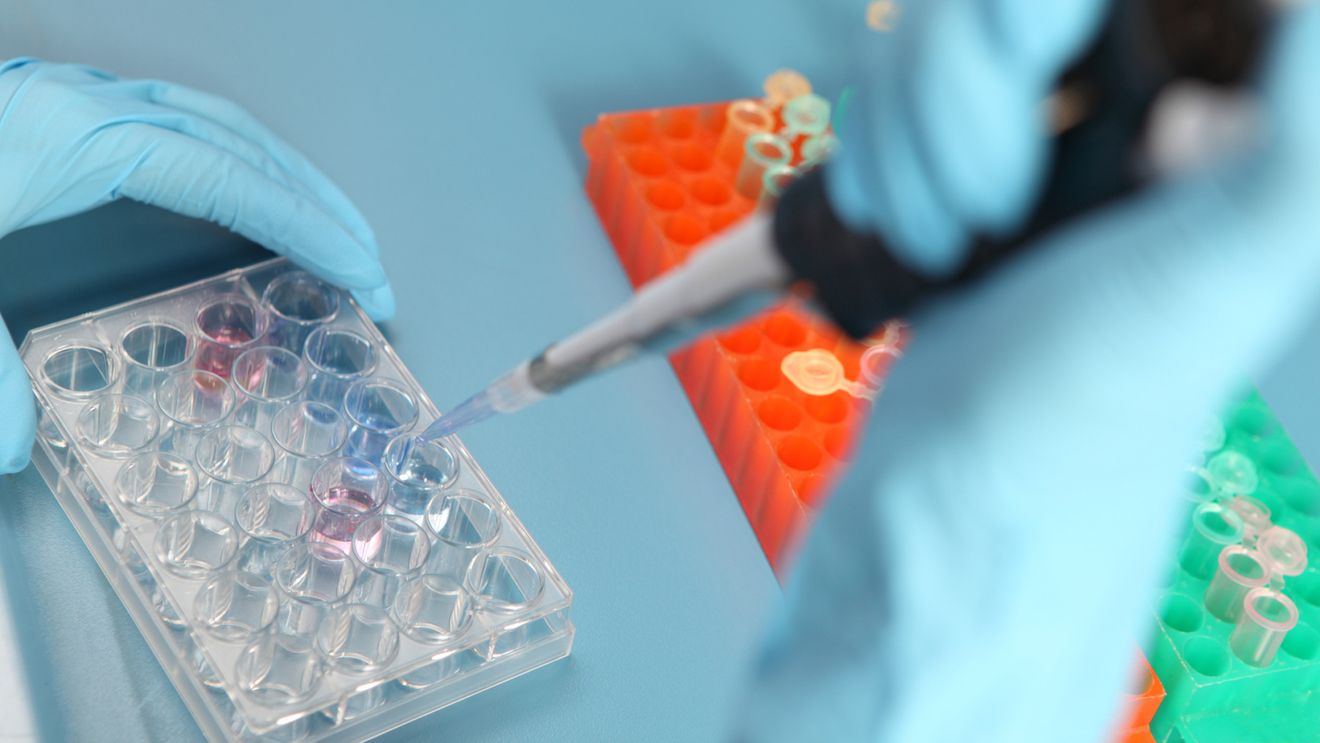 Guvernul României lansează un program de sprijin pentru fertilizare in vitro destinat cuplurilor infertile / Beneficiarii vor primi vouchere digitale în valoare totală de 15.000 lei
