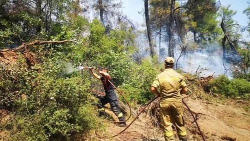 Pompieri din trei judeţe intervin pentru stingerea unui incendiu de pădure din Giurgiu