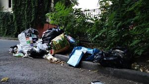 Primarul Radu Mihaiu: Avem 273 de "puncte fierbinţi" în Sectorul 2. Zone în care suntem nevoiţi să strângem gunoiul de 4-5 ori pe zi. Locuri în care mojicia şi nesimţirea transformă oraşul în groapă de gunoi