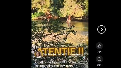 George Simion distribuie o filmare în care sunt surprinși cetățeni pakistanezi care prind două lebede pe râul Argeș: „Ar trebui expulzați acești indivizi?”