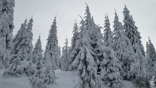 Zăpadă de aproape jumătate de metru la Vârful Omu / E cel mai mare strat de zăpadă măsurat de meteorologi în zona montană / 15 centimetri la Bâlea Lac
