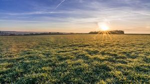 Temperaturi mai mari decât cele obişnuite ale perioadei, în următoarele patru săptămâni, anunță meteorologii
