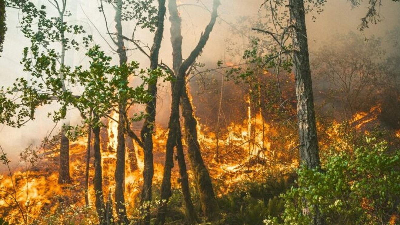 12 incendii de vegetaţie uscată, izbucnite luni în Caraș-Severin