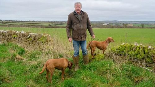 VIDEO | Ferma lui Jeremy Clarkson, cunoscut din Top Gear, lovită de o epidemie cruntă. Ce este „boala limbii albastre” care îi afectează animalele de companie