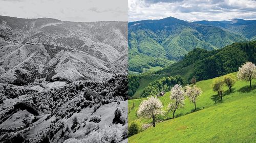 Reforma administrativă: După 100 de ani, două comune din Sibiu vor să se unească din nou / Dar nici acum nu au un drum direct, principalul motiv al despărțirii din 1925 / Aici e ”Țara Colibelor”