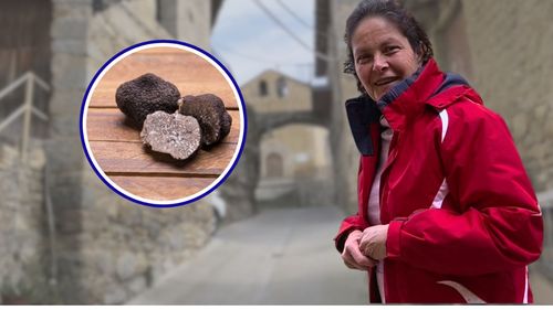 VIDEO | Povești vânătorești cu și despre trufe negre/ Cum se desfășoară o vânătoare de trufe în Pirinei