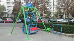 Sfântu Gheorghe are primul leagăn pentru persoane cu dizabilități / Banii pentru achiziția lui, 22.000 de lei, au fost strânși în 3 ani de două asociații