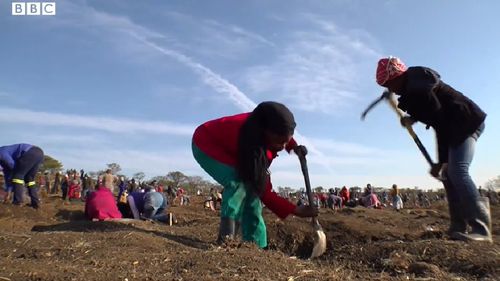 VIDEO Descoperirea unor pietre transparente a declanșat o „goană după diamante" în Africa de Sud