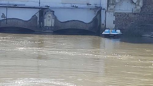 Hidrobicicletă furată, plutind în derivă pe Bega, descoperită de şalupa Poliţiei Locale