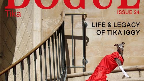 Vogue dă în judecată Dogue, revista dedicată iubitorilor de câini: Acuzații de furt de identitate și confuzie pentru cititori