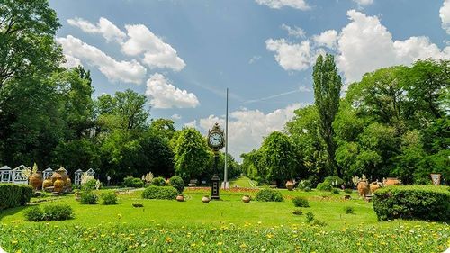 Ce vrea să facă Firea în Parcul Cișmigiu. Varianta Primăriei Capitalei: Reamenajare integrată și coerentă/ Vlad Alexandrescu: Cișmigiul se va transforma într-un bâlci cu vegetație