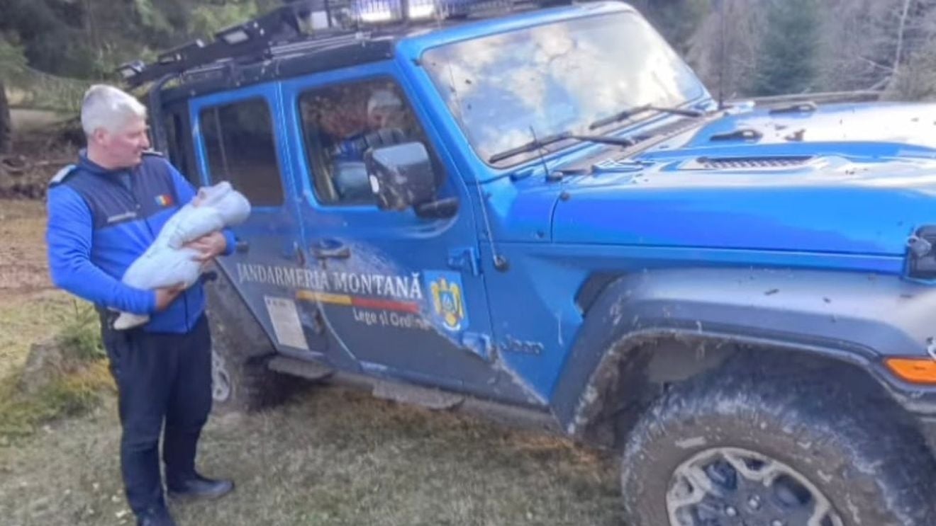 Patru turişti cu un bebeluş, rătăciţi pe un drum izolat de munte, au fost salvaţi de jandarmi