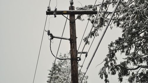 Aproape o mie de abonaţi, majoritatea din Apuseni, fără curent electric în urma viscolului