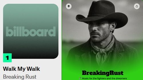 O melodie country generată de Inteligență Artificială (IA) ocupă primul loc în topul de specialitate Billboard, iar acest lucru ar trebui să ne înfurie pe toți / Editorial WhiskeyRiff