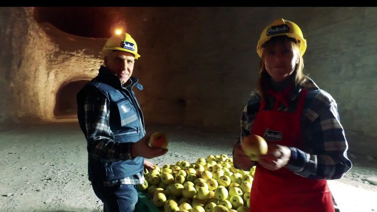 Cultivatorii italieni depozitează fructele în peșteri pentru a reduce facturile la energie