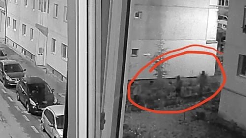 Zuleam, Ghiță și Minae sunt numele celor trei suspecți de uciderea omului de afaceri Adrian Kreiner din Sibiu