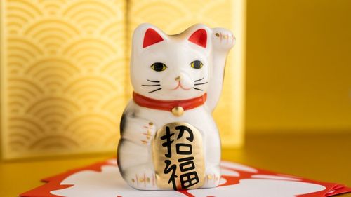 De ce preferă japonezii pisicile în locul câinilor și cum va ajunge piața la 18,6 miliarde euro în 2025